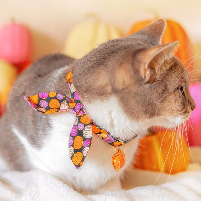 Cat Collar and Bunny Ear Bow Set - "Pumpkin Toss" - Orange Pink Pumpkin Cat Collar w/ Matching Bunny Bow Tie / Fall + Halloween / Cat, Kitten + Small Dog Sizes