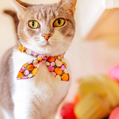 Cat Collar and Bunny Ear Bow Set - "Pumpkin Toss" - Orange Pink Pumpkin Cat Collar w/ Matching Bunny Bow Tie / Fall + Halloween / Cat, Kitten + Small Dog Sizes