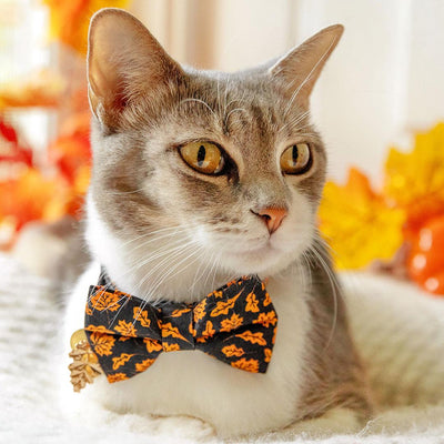 Fall Cat Bow Tie - "Autumn Night" - Maple Leaf Black Orange Bow Tie for Cat / Halloween / Cat + Small Dog Bowtie