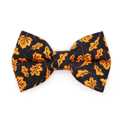 Bow Tie Cat Collar Set - "Autumn Night" - Fall Leaves Black Orange Cat Collar with Bow Tie / Halloween, Maple Leaf / Cat, Kitten, Small Dog Sizes