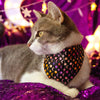 Moon Cat Bandana - "Cosmic" - Black Celestial Moon & Stars Bandana for Cat + Small Dog / Starry Night Sky, Moon Phases, Halloween / Slide-On Over the Collar Bandana