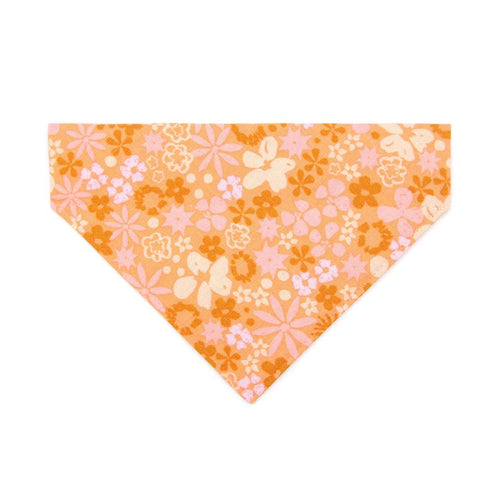 Retro Cat Bandana - "Peachy Keen" - Pink Orange 60s Floral Bandana for Cat + Small Dog / Slide-On Over the Collar Bandana