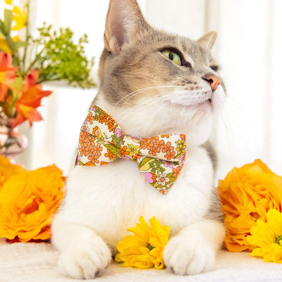 Bow Tie Cat Collar Set - "Groovy Garden" - Yellow Orange Retro Floral Cat Collar with Bow Tie / Cat, Kitten, Small Dog Sizes