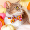 Cat Bow Tie - "Pumpkin Toss" - Orange Pink Pumpkin Bow Tie for Cat / Fall + Halloween / Cat + Small Dog Bowtie