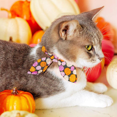 Cat Collar and Bunny Ear Bow Set - "Pumpkin Toss" - Orange Pink Pumpkin Cat Collar w/ Matching Bunny Bow Tie / Fall + Halloween / Cat, Kitten + Small Dog Sizes