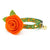 Fall Cat Collar + Flower Set - "Squirrel Bounty" - Acorn Green Squirrel Cat Collar w/ Orange Felt Flower (Detachable) / Cat, Kitten + Small Dog Sizes