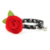 Pirate Cat Collar + Flower Set - "Misfit" - Skull Cat Collar w/ Scarlet Red Felt Flower (Detachable) / Cat, Kitten + Small Dog Sizes