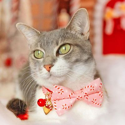 Holiday Cat Bow Tie - "Candy Christmas" - Pink Candy Cane Bow Tie for Cat / Christmas / Cat + Small Dog Bowtie