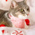 Holiday Cat Bandana - "Candy Christmas" - Pink Candy Cane Bandana for Cat + Small Dog / Christmas / Slide-On Over the Collar Bandana