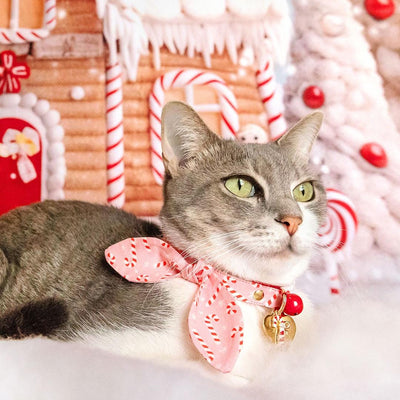 Cat Collar and Bunny Ear Bow Set - "Candy Christmas" - Pink Candy Cane Cat Collar w/ Matching Bunny Bow Tie / Girly Holiday / Cat, Kitten + Small Dog Sizes