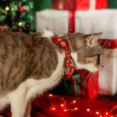 Cat Collar and Bunny Ear Bow Set - "Crimson Berry" - Red Holly Cat Collar w/ Matching Bunny Bow Tie / Christmas, Holiday / Cat, Kitten + Small Dog Sizes