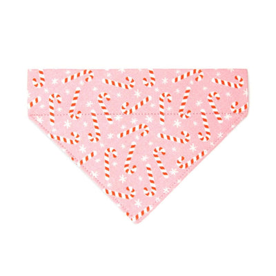 Holiday Cat Bandana - "Candy Christmas" - Pink Candy Cane Bandana for Cat + Small Dog / Christmas / Slide-On Over the Collar Bandana