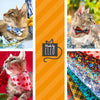 Cat Collar and Bunny Ear Bow Set - "Bonfire Blaze" - Red, Blue & Green Plaid Cat Collar w/ Matching Bunny Bow Tie / Tie-On Scarf / Cat, Kitten + Small Dog Sizes