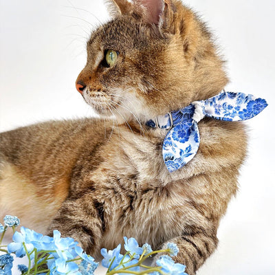 Cat Collar and Bunny Ear Bow Set - "Porcelain Paisley" - Blue Floral Cat Collar w/ Matching Bunny Bow Tie / Tie-On Scarf / Cat, Kitten + Small Dog Sizes