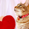 Cat Collar and Bunny Ear Bow Set - "Pucker Up" - Valentine's Day Red & Pink Lipstick Kiss Cat Collar w/ Matching Bunny Bow Tie / Tie-On Scarf / Cat, Kitten + Small Dog Sizes