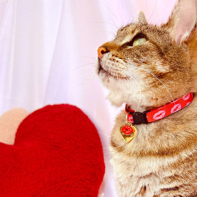 Cat Collar and Bunny Ear Bow Set - "Pucker Up" - Valentine's Day Red & Pink Lipstick Kiss Cat Collar w/ Matching Bunny Bow Tie / Tie-On Scarf / Cat, Kitten + Small Dog Sizes