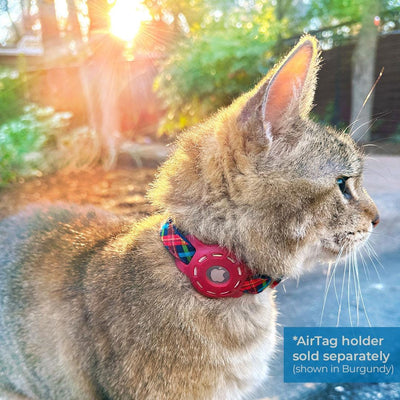 Bow Tie Cat Collar Set - "Bonfire Blaze" - Plaid Cat Collar with Bow Tie / Rust Red, Green & Blue / Cat, Kitten, Small Dog Sizes