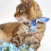 Cat Collar - "Porcelain Paisley" - Floral Blue Cat Collar / Breakaway Buckle or Non-Breakaway / Cat, Kitten + Small Dog Sizes