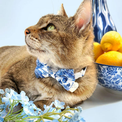 Cat Collar - "Porcelain Paisley" - Floral Blue Cat Collar / Breakaway Buckle or Non-Breakaway / Cat, Kitten + Small Dog Sizes