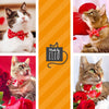 Valentine's Day Cat Bow Tie - "Lovestruck" - Pink & Red Cupid Hearts Bow Tie for Cat / Cat + Small Dog Bowtie