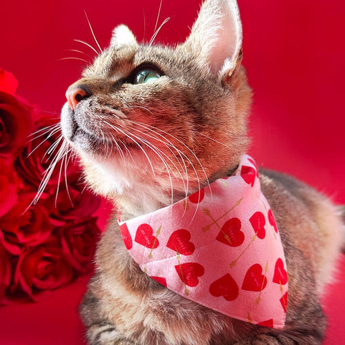 Valentine's Day Cat Bandana - "Lovestruck" - Pink & Red Cupid Hearts Bandana for Cat + Small Dog / Slide-on Bandana / Over-the-Collar