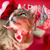 Cat Collar and Bunny Ear Bow Set - "Lovestruck" - Valentine's Day Heart Cat Collar w/ Matching Bunny Bow Tie / Tie-On Scarf / Cat, Kitten + Small Dog Sizes