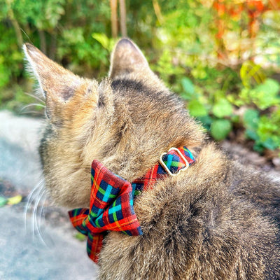 Cat Bow Tie - "Bonfire Blaze" -  Red, Blue & Green Plaid Bow Tie for Cat / Winter, Fall, Preppy / Cat + Small Dog Bowtie