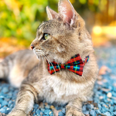 Bow Tie Cat Collar Set - "Bonfire Blaze" - Plaid Cat Collar with Bow Tie / Rust Red, Green & Blue / Cat, Kitten, Small Dog Sizes