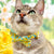 Bow Tie Cat Collar Set - "Daffodils" - Yellow Spring Daffodil Cat Collar with Bow Tie / Easter / Cat, Kitten, Small Dog Sizes