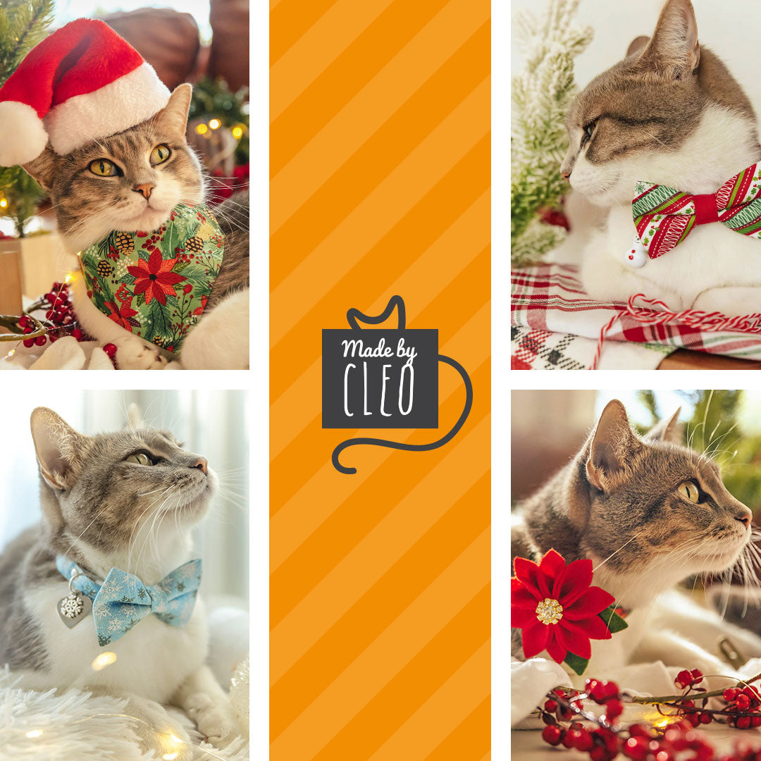 Cat Santa Hat - Christmas Pet Santa Hat, Holiday Photo Prop