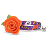 Cat Collar + Flower Set - "Witch's Brew" - Halloween Cat Collar w/ Orange Felt Flower (Detachable)