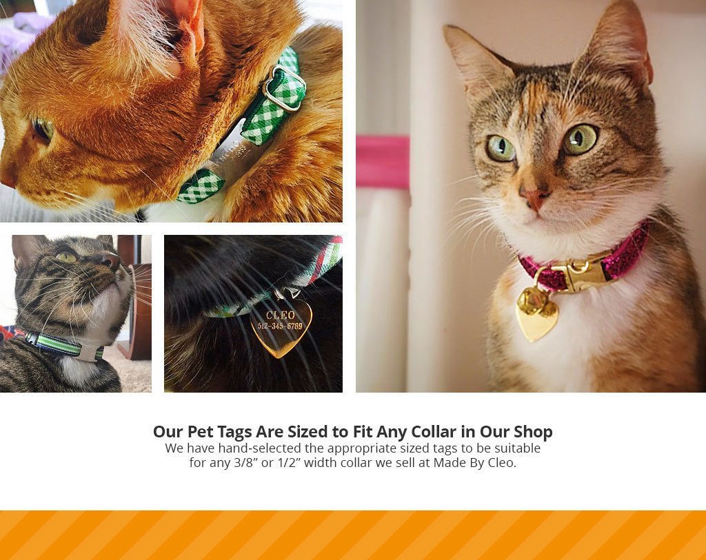 Microchipped Acrylic Pet Cat Dog Collar ID Tag Dog & Cat ID 