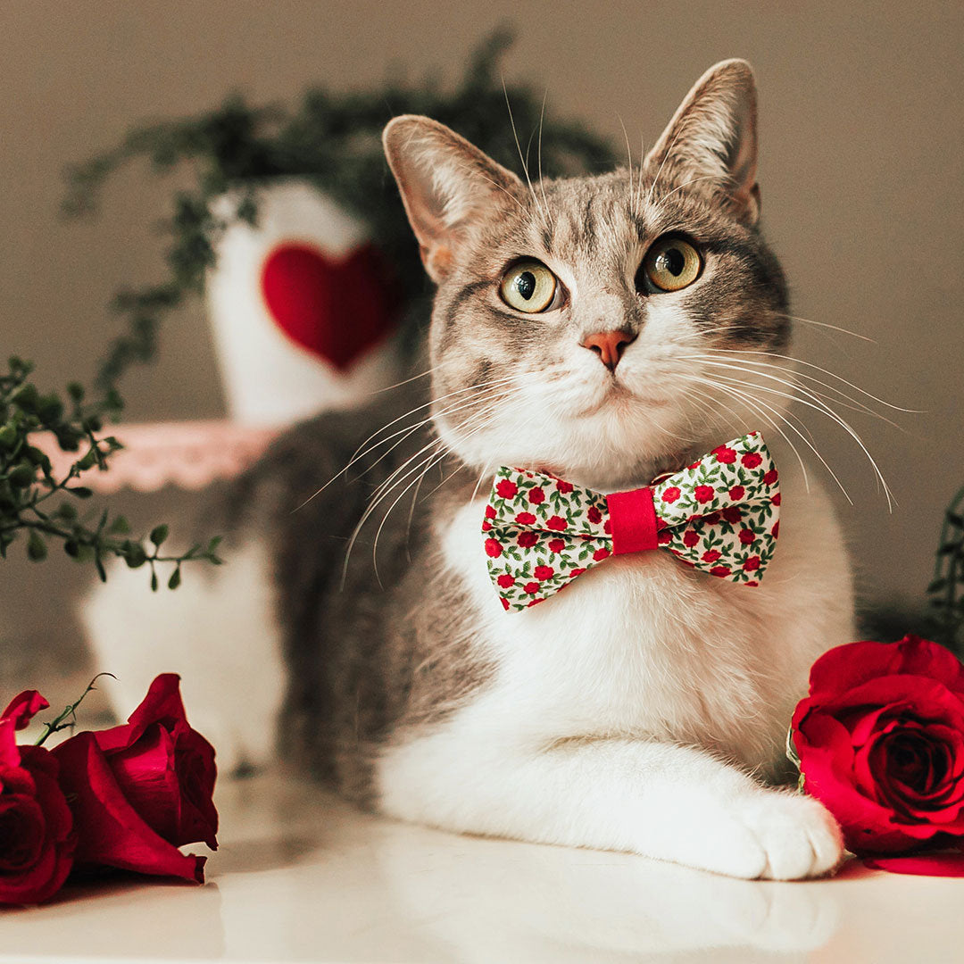 Pet Bow Tie - Antique Rose - Red Mini Roses Bowtie for Cats +