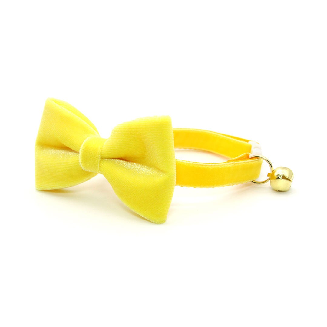 Light Yellow Bow