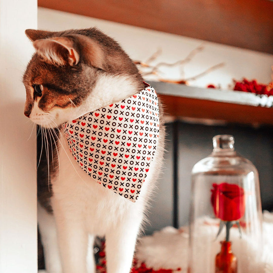 Cat or Croissant?' Dog Bandana