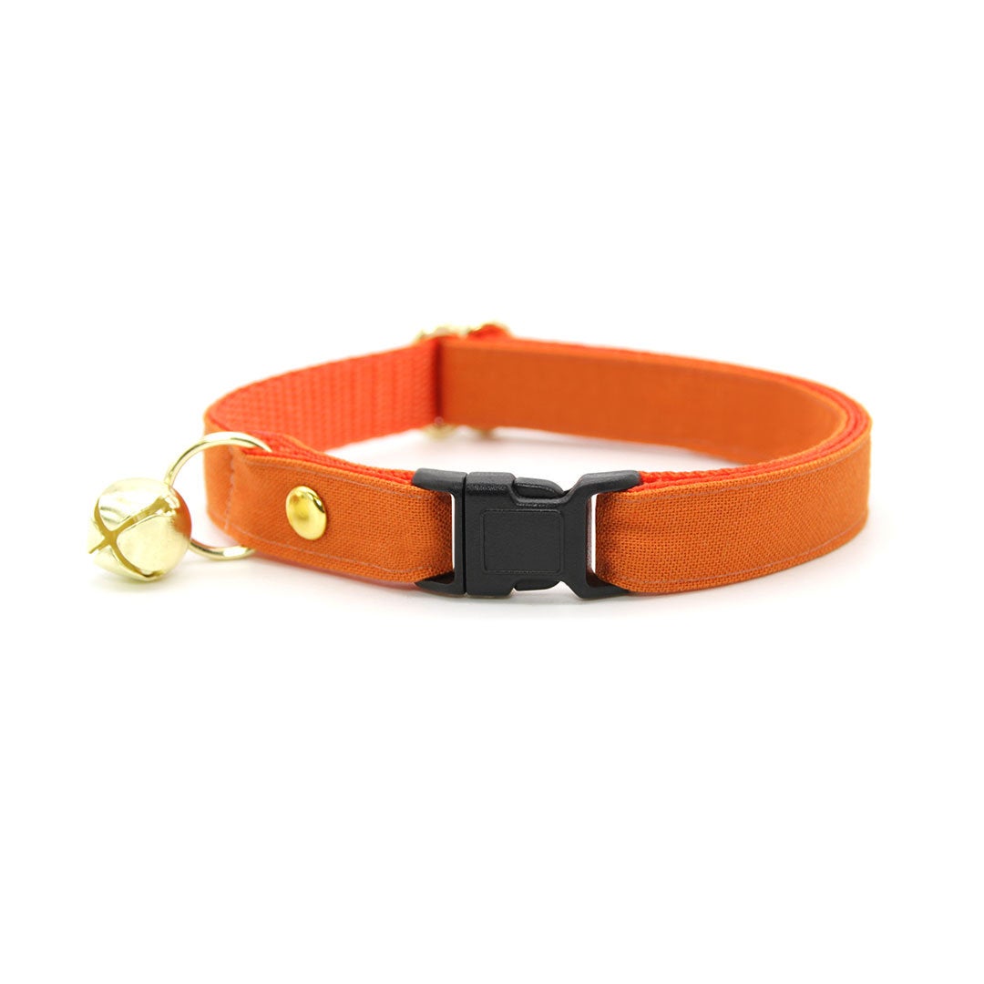 Orange 2025 cat collar