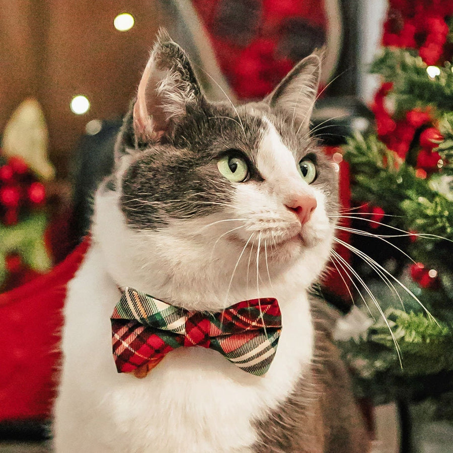 Christmas Holiday Cat Collars, Bow Ties, Bandanas & Accessories