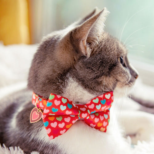 Bow Tie Cat Collar Set - "Modern Love" - Candy Hearts on Red Cat Collar w/ Matching Bowtie / Valentine's Day / Cat, Kitten, Small Dog Sizes