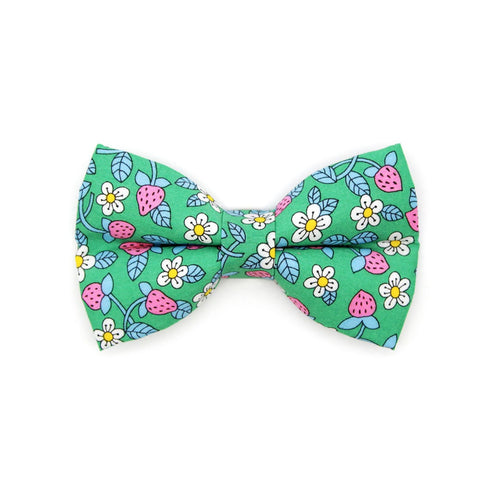 Pet Bow Tie - "Wild Strawberry - Mint" - Liberty of London® Berry Floral Cat Bow Tie / Spring + Summer / For Cats + Small Dogs (One Size)