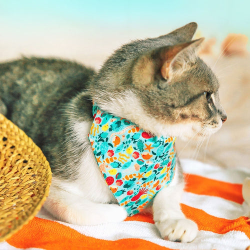 Pet Bandana - "Ocean Life" - Aquatic Fish Bandana for Cat + Small Dog / Summer, Beach, Sea, Marine / Slide-on Bandana / Over-the-Collar (One Size)