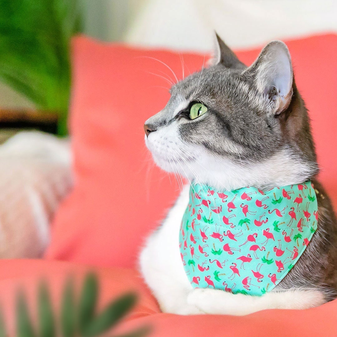 Tropical best sale dog bandana