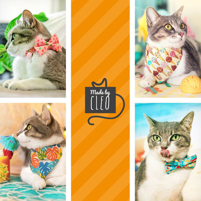 Cat Collar + Flower Set - "Polka Dot - Orange" - Glow In The Dark Cat Collar w/ Pumpkin Felt Flower (Detachable)