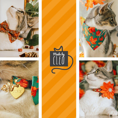 Cat Collar + Flower Set - "Gourd Times" - Pumpkin Cat Collar w/ Orange Felt Flower (Detachable)