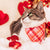 Pet Bandana - "Hot Date" - Pink & Red Plaid Bandana for Cat + Small Dog / Valentine's Day / Slide-on Bandana / Over-the-Collar (One Size)