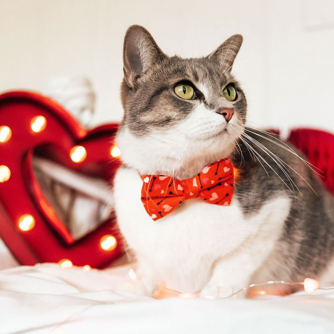 Giant Red Bow-Tie - The Cat in the Hat