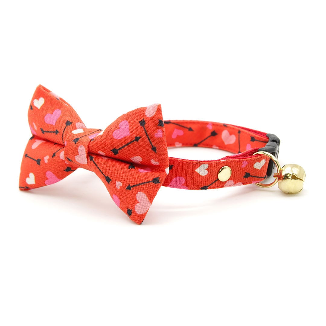 Bow and arrow sales dog collar