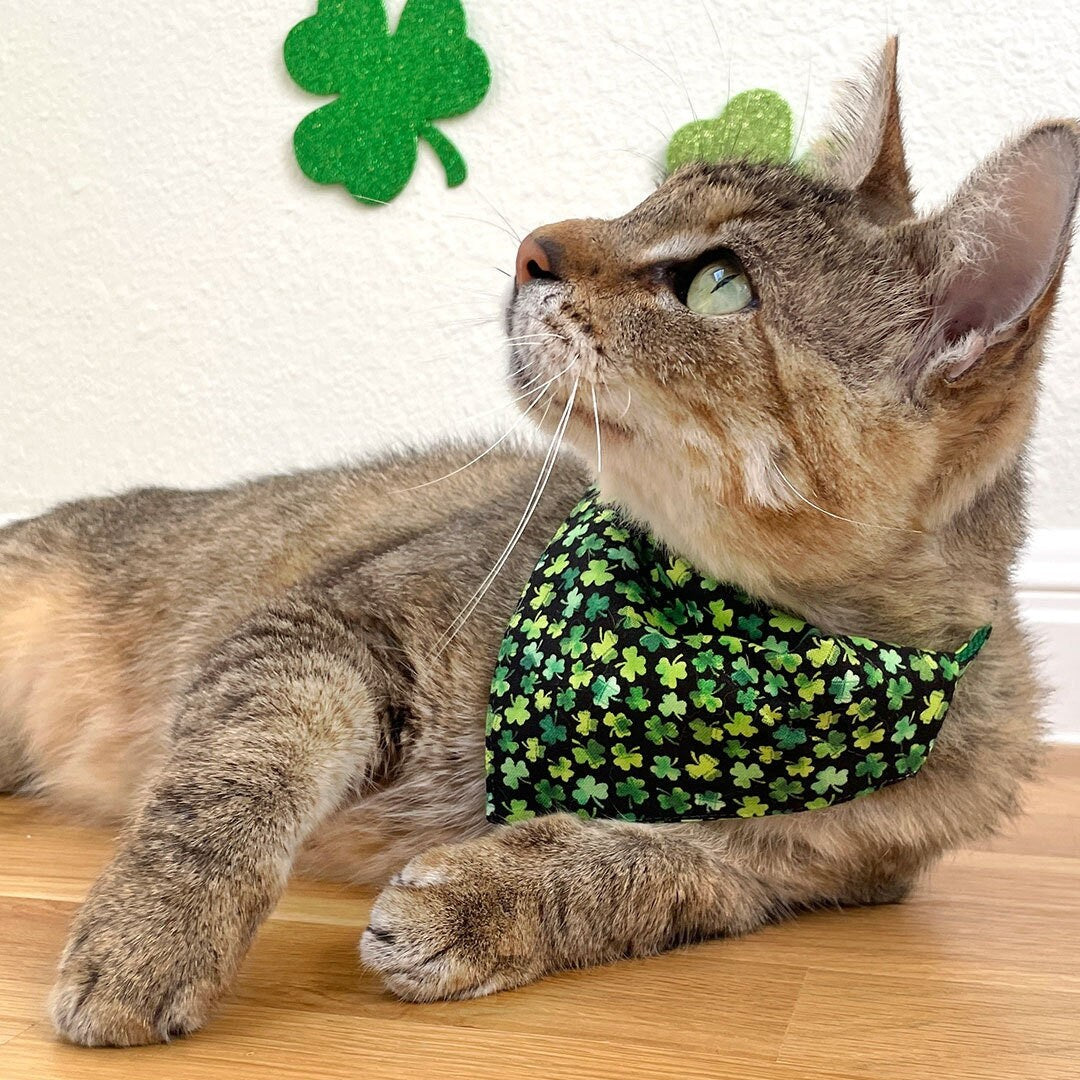 Shamrock sale dog bandana