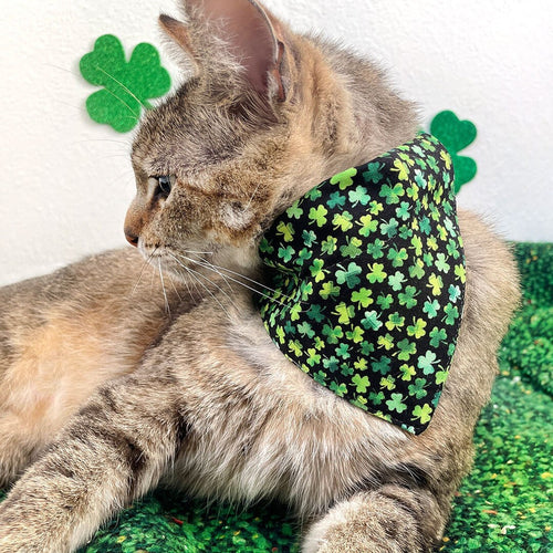 Pet Bandana - "Lucky Charmer" - St. Patrick's Day Bandana for Cat + Small Dog / Irish, Shamrock / Slide-on Bandana / Over-the-Collar (One Size)