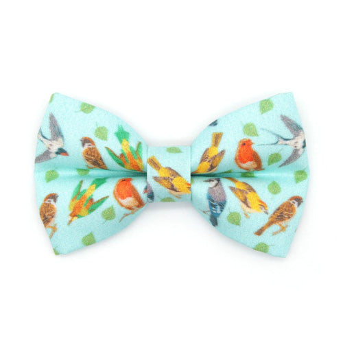 Pet Bow Tie - "Birds of a Feather" - Robin's Egg Blue Bird Cat Bow Tie / Nature, Bird Lover, Audubon, Sibley / For Cats + Small Dogs (One Size)