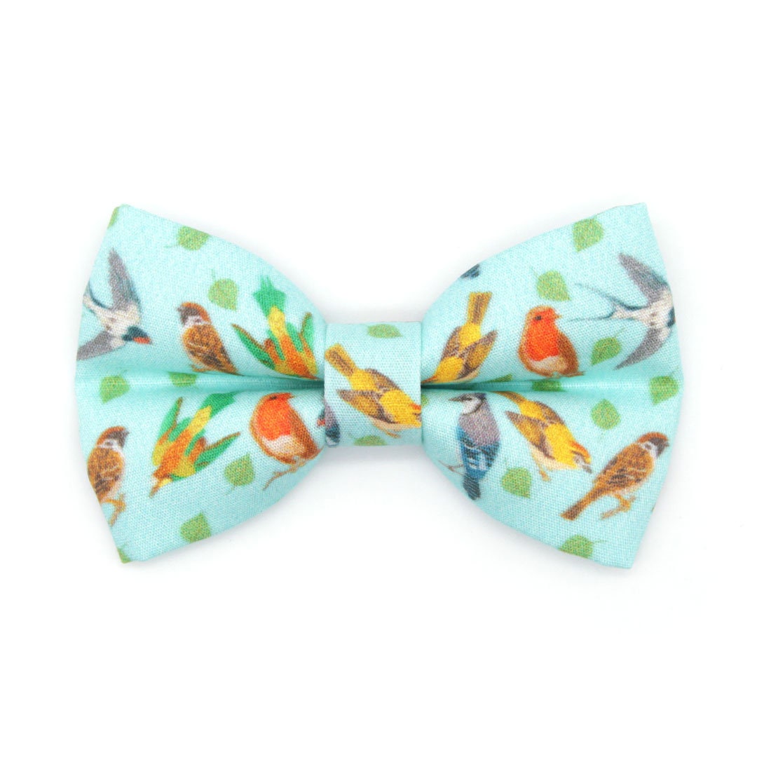 Bow Tie Cat Collar Set - 